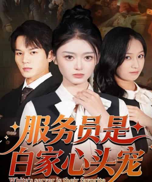 服务员是白家心头宠（80集全）汤淇钧＆王米泽-搜外项目网