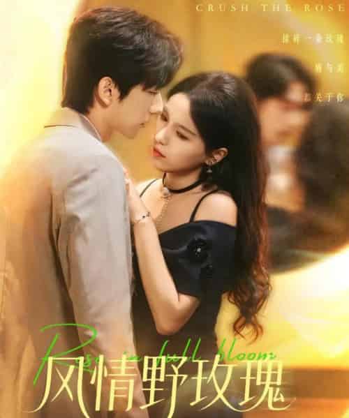 风情野玫瑰＆揉碎玫瑰（70集全）方思畅＆冯子毅-搜外项目网