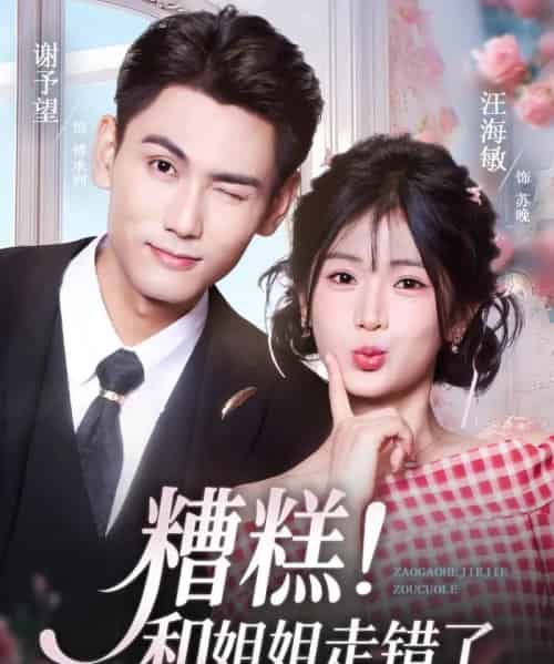 糟糕！和姐姐走错了（124集全）谢予望＆汪海敏-搜外项目网