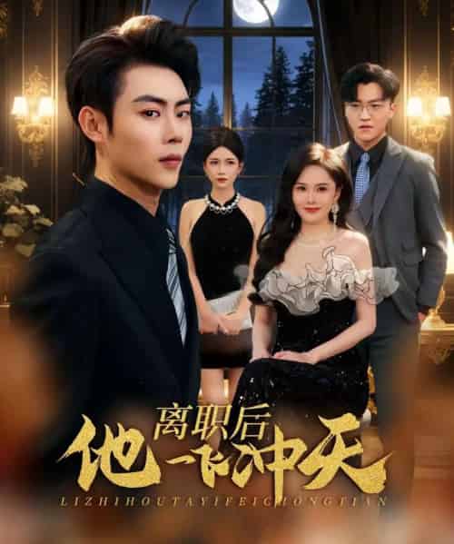 离职后他一飞冲天（80集全）肖智夫＆李姿伟-搜外项目网