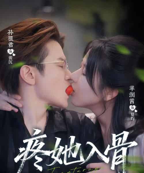 疼她入骨（80集全）辛润茜＆孙祖君-搜外项目网