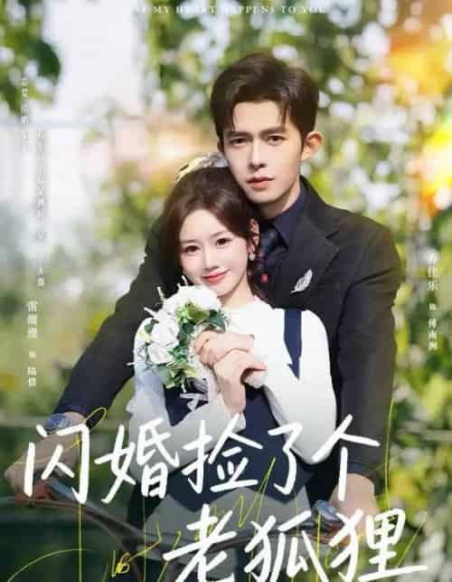 闪婚捡了个老狐狸（79集全）乔佳乐＆雷馥缦-搜外项目网