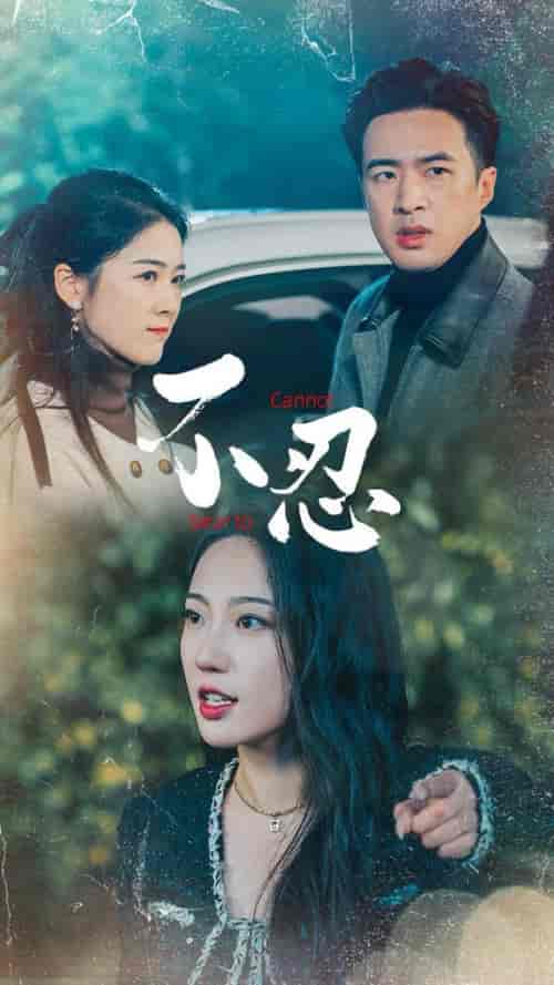 不忍（64集全）孔奇力＆徐思祁-搜外项目网