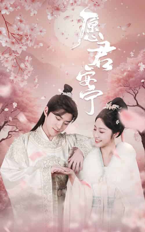 愿君安宁（34集全）白雪茹-搜外项目网