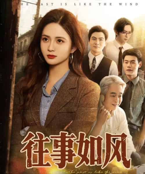 往事如风（61集）李家豪＆刘美娜-搜外项目网