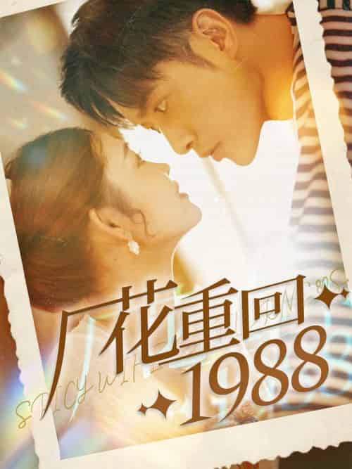 厂花重回1988（101集全）张幸运-搜外项目网