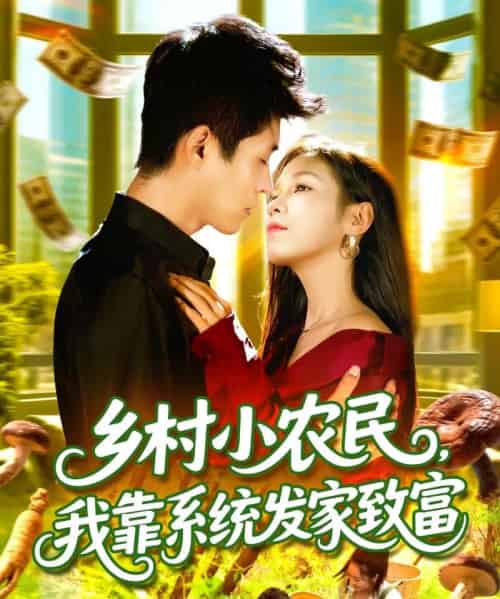 乡村小农民，我靠系统发家致富 （100集全） 朱佳琪＆韩雨轩-搜外项目网