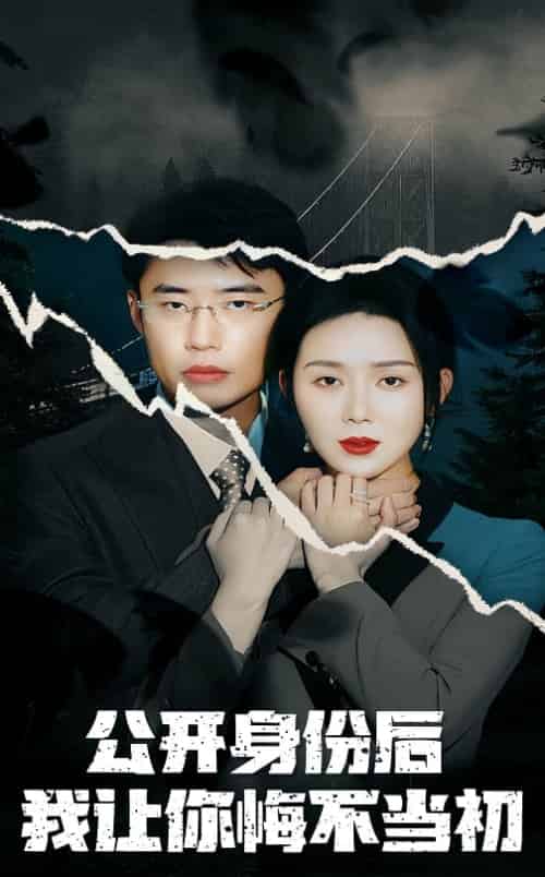 公开身份后我让你悔不当初(45集全)孔莹莹-搜外项目网