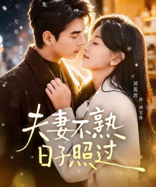 夫妻不熟,日子照过(80集全)左铭&刘蓝鸽-搜外项目网