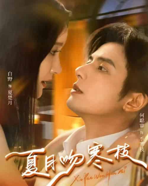 夏月吻寒枝(50集全)何聪睿&白野-搜外项目网