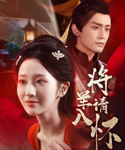 将军请入怀（55集）周昭昭＆周航-搜外项目网