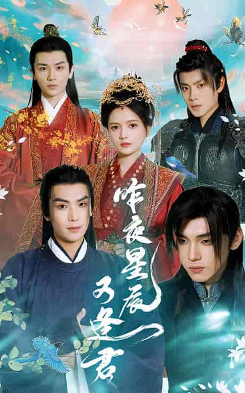 昨夜星辰又逢君（94集）-搜外项目网