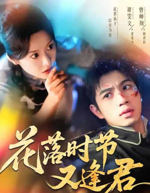 花落时节又逢君（61集全）曾帅翔＆谭雯文-搜外项目网