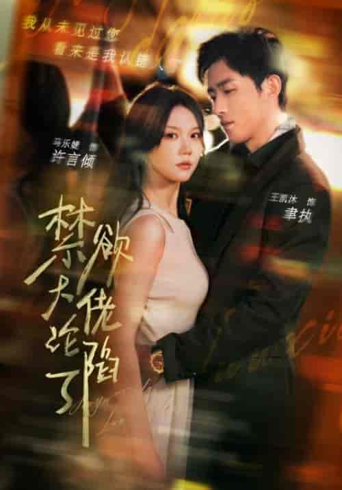 禁欲大佬沦陷了（106集全）聿执＆许言倾-搜外项目网