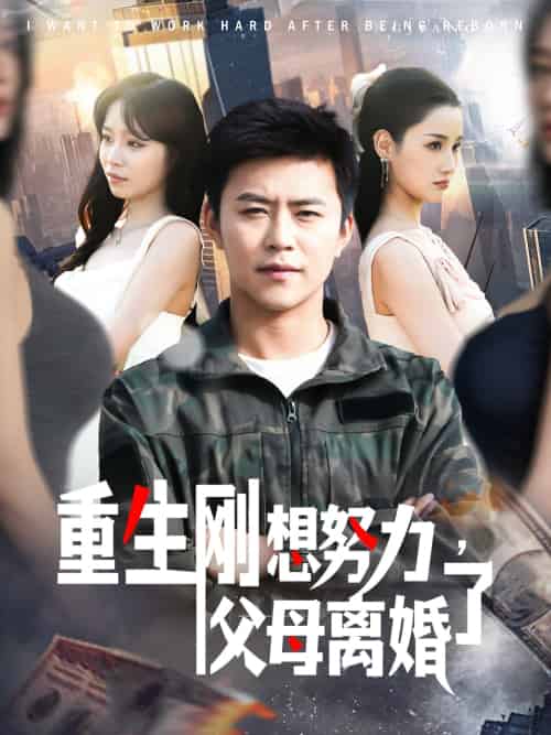 重生刚想努力，父母离婚了（149集）王依海＆朱佳琪-搜外项目网