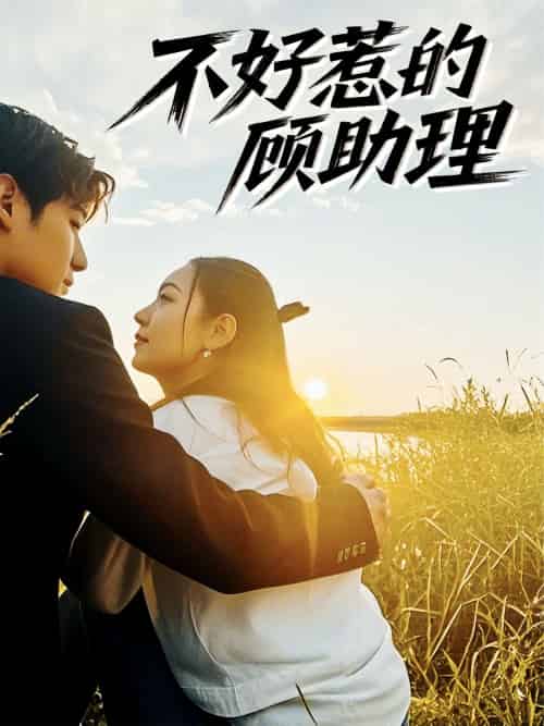 不好惹的顾助理（67集）孟祥鑫＆李雪阳-搜外项目网