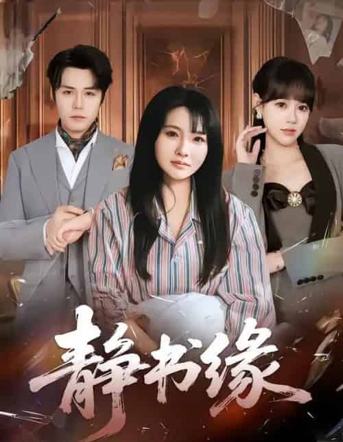 静书缘（65集全）李子园＆葛子杨-搜外项目网