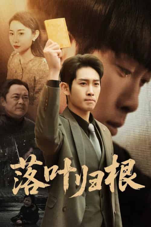 落叶归根＆认祖归宗（35集全）彭羽＆王圻嘉-搜外项目网