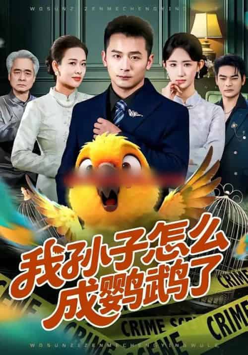 我孙子怎么成鹦鹉了(71集全)何其炜&袁初年-搜外项目网