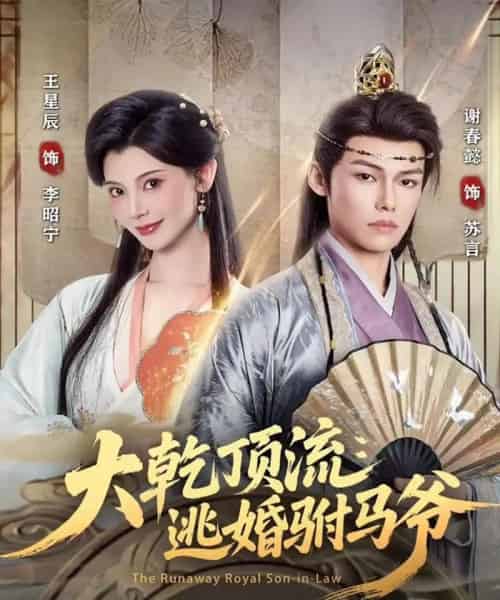 大乾顶流：逃婚驸马爷（82集全）谢春懿＆王星辰-搜外项目网