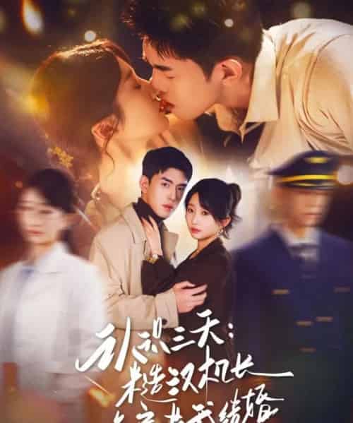 认识三天：糙汉机长送房哄我结婚（71集全）王天昊＆田欣雅-搜外项目网