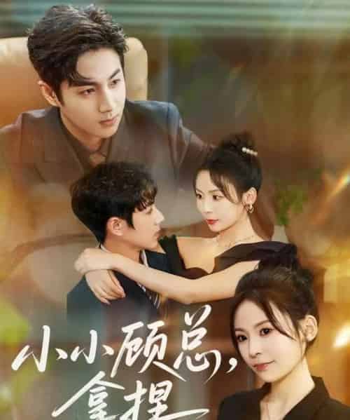 小小顾总拿捏(82集全)谷聿扬&田珍-搜外项目网