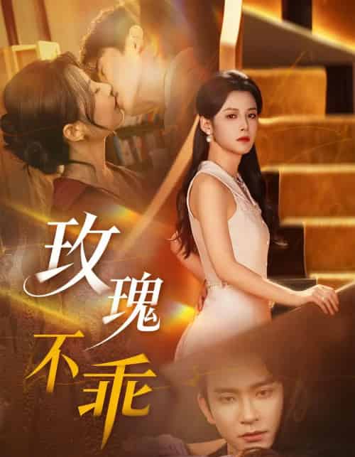 玫瑰不乖（69集全）王已歌＆谭雯文-搜外项目网