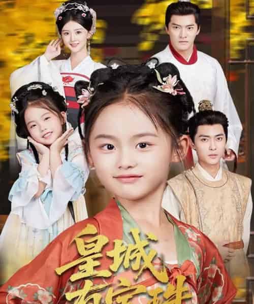 皇城有宝珠(65集全)朱新辉&杨帆-搜外项目网