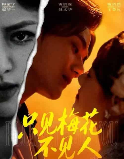 只见梅花不见人＆梅花落尽时（63集全）聂文华＆王楚沅-搜外项目网