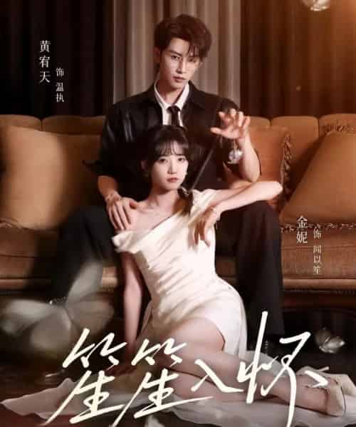 笙笙入怀(108集全)黄宥天&包金妮-搜外项目网