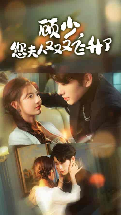 顾少您夫人又又又飞升了（62集全）甜一-搜外项目网