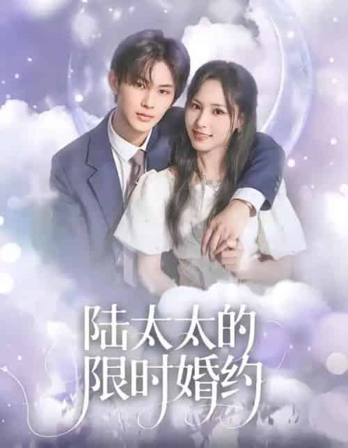 陆太太的限时婚约(60集全)张亿&蒋非琳-搜外项目网