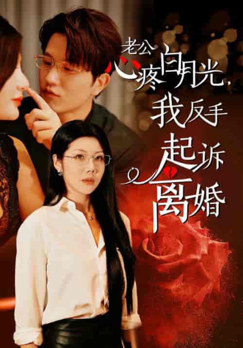 公疼白月光我反手起诉离婚（42集全）汪天予-搜外项目网