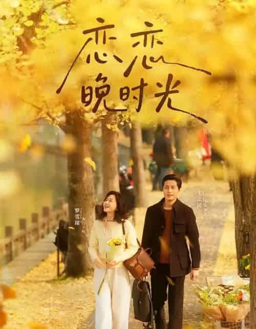 恋恋晚时光（70集全）王之民＆罗雪琼-搜外项目网