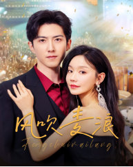 风吹麦浪（62集全）张诗媛-搜外项目网