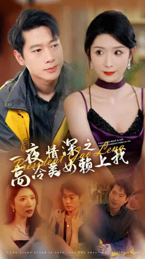 一夜情深之高冷美女赖上我(71集全)张子安&蒋昕妍-搜外项目网