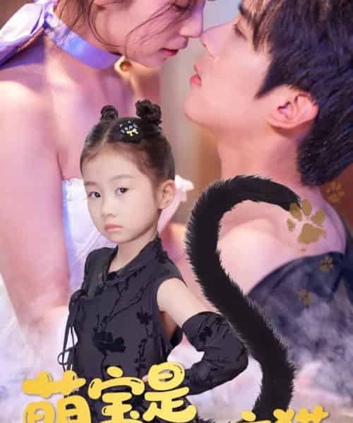 萌宝是满级玄猫(60集)冯思源&严雯丽-搜外项目网