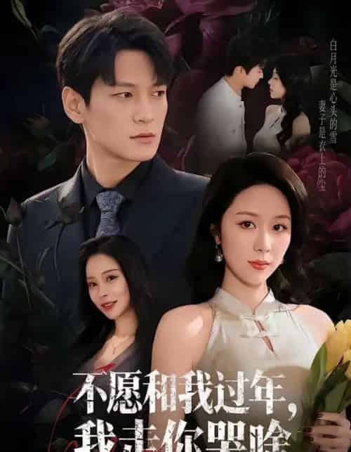 不愿和我过年,我走你哭啥(74集全)肖涵&钟莹玲-搜外项目网