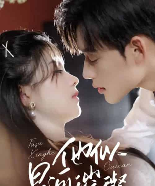 他似星河璀璨（61集）张力壬＆潘慧敏-搜外项目网