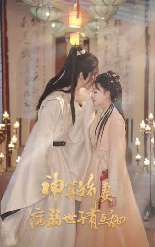 神算娇妻病弱世子有点甜（80集全）卢梦琳＆姜竣瀚-搜外项目网