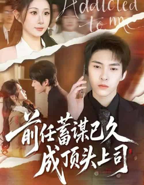 前任蓄谋已久成顶头上司（70集全）魏家乐＆张禹麟-搜外项目网