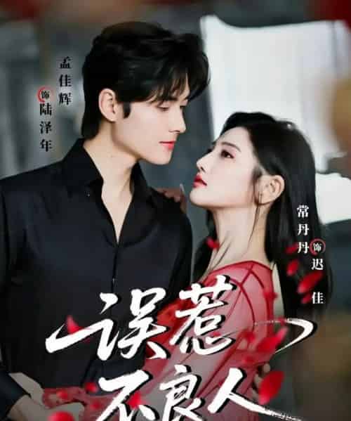 误惹不良人（65集全）常丹丹＆孟佳辉-搜外项目网