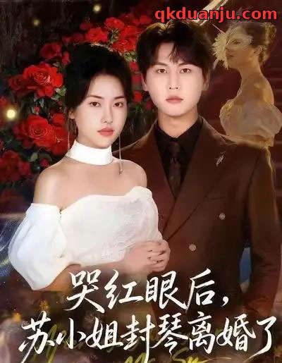 哭红眼后，苏小姐封琴离婚了（57集全）辛润茜＆许东哲-搜外项目网