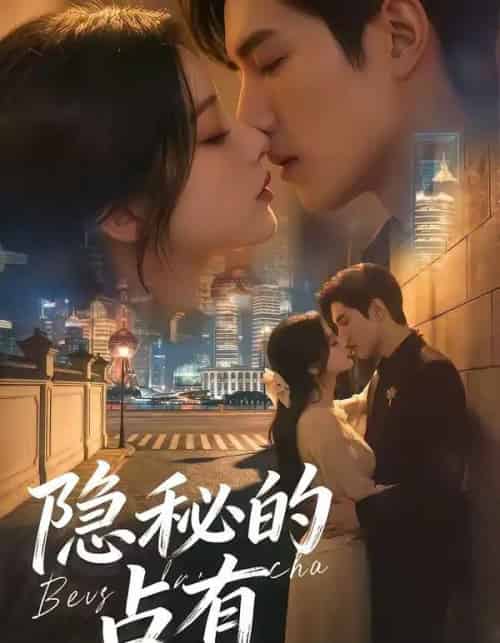 隐秘的占有（48集全）AI-搜外项目网