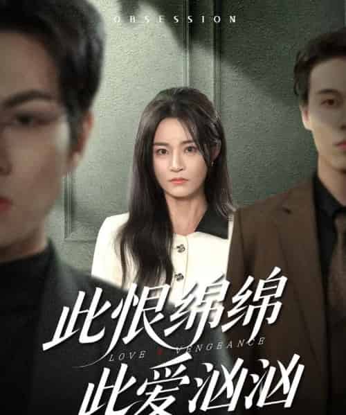 此恨绵绵此爱汹汹(68集全)王一淼&吴鑫-搜外项目网