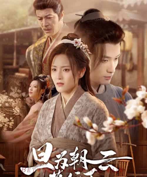 旦为朝云暮行雨（64集）宋暖＆郑念-搜外项目网