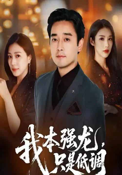 我本强龙只是低调（70集）查振＆章滢-搜外项目网