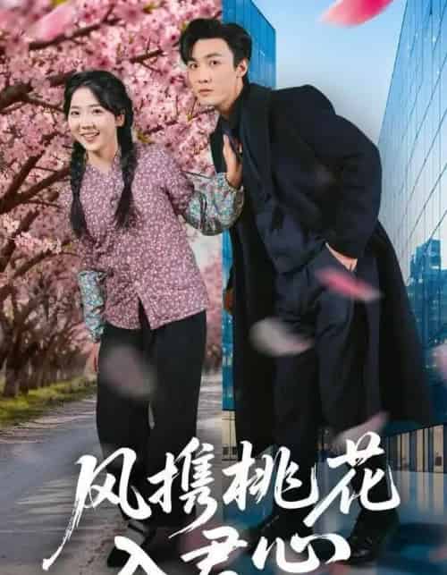 风携桃花入君心（80集全）李海蒂＆清河-搜外项目网