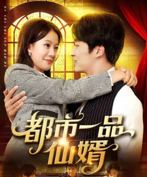 都市一品仙婿(102集)屈婉琼&王泊渊-搜外项目网