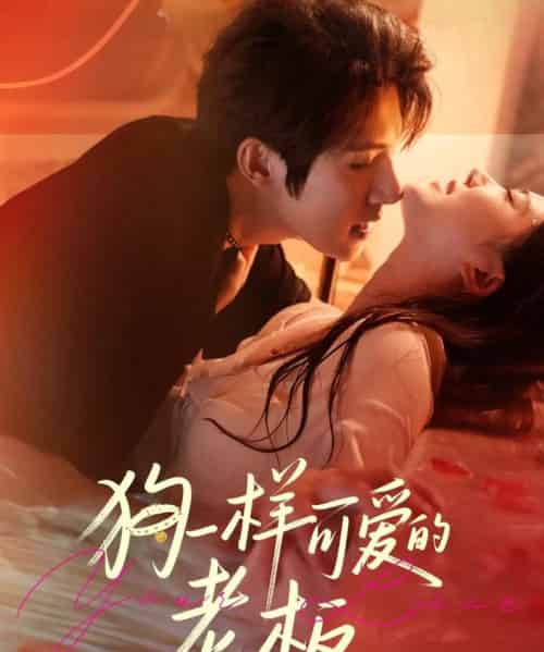 狗一样可爱的老板（63集全）朱一未＆白昕怡-搜外项目网